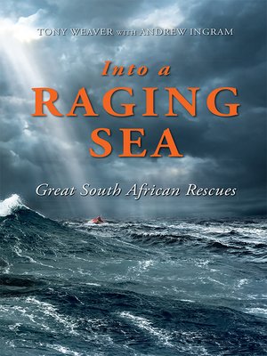 cover image of Into a Raging Sea
